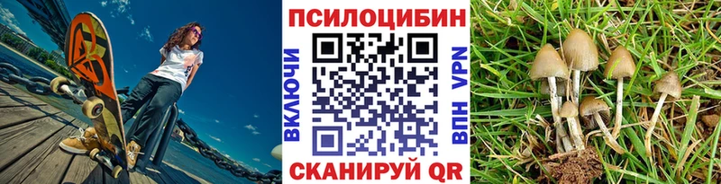 купить наркотики цена Нестеровская Галлюциногенные грибы ЛСД